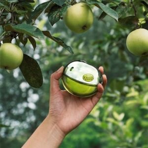 DKNY Be Delicious Eau De Parfum 100mls